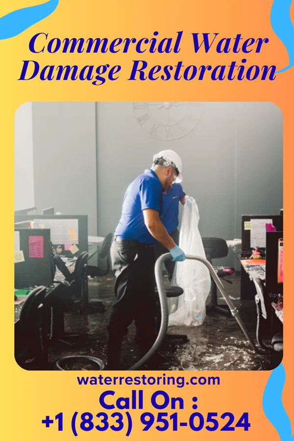 Commercial Water Damage Restoration in South Houston, TX